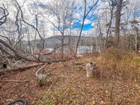 20 Verona Park, Verona Island, ME 04416