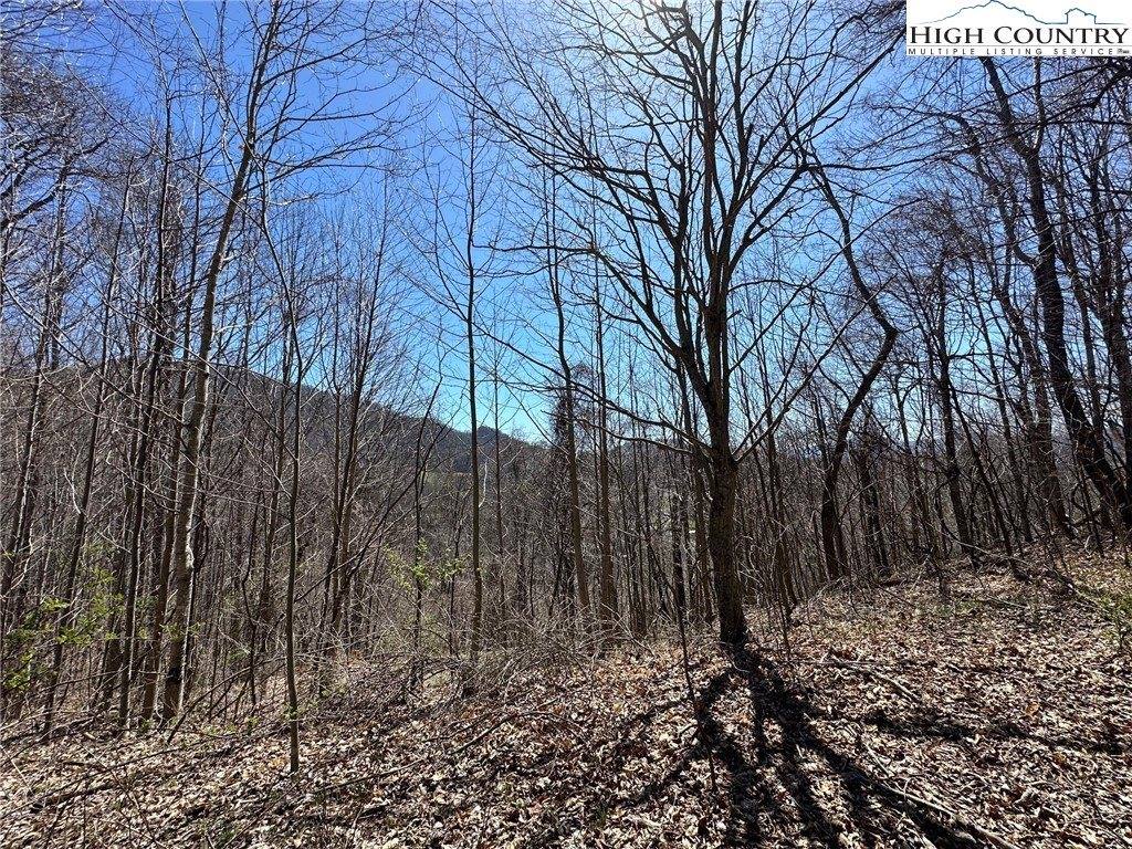 Lots # 10-11-12 Yasmine Lane, Vilas, NC 28692