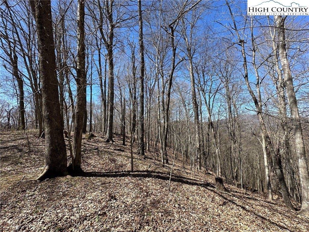 Lots # 10-11-12 Yasmine Lane, Vilas, NC 28692