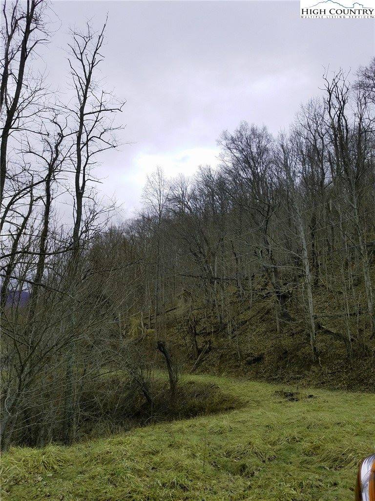 Lots # 10-11-12 Yasmine Lane, Vilas, NC 28692