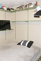 902 Clayton Ave, Lehigh Acres, FL 33972