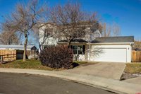 270 Bristlecone Court, Montrose, CO 81403
