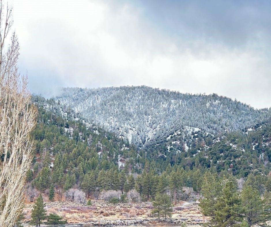 26601 Big Pines, Wrightwood, CA 92397