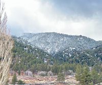 26601 Big Pines, Wrightwood, CA 92397