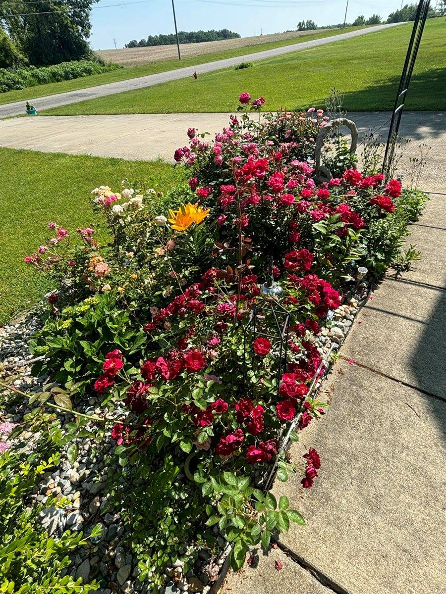 3581 Kehoe Road, Clinton, MI 49236