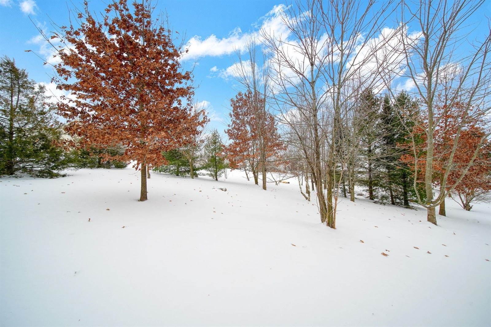 3581 Kehoe Road, Clinton, MI 49236