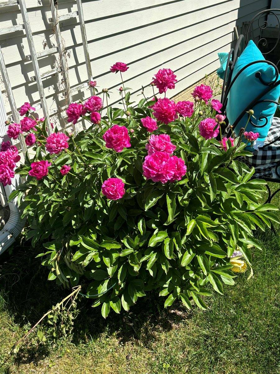 3581 Kehoe Road, Clinton, MI 49236