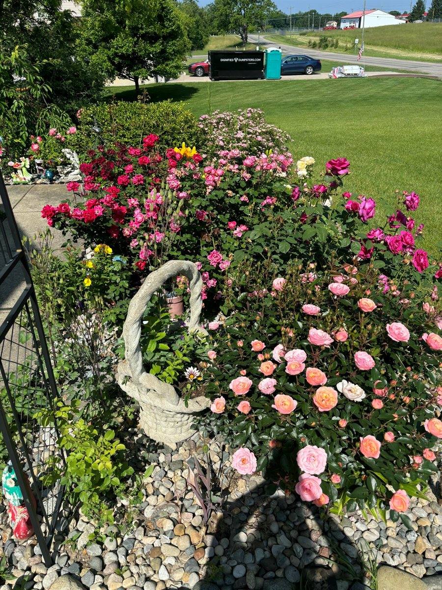 3581 Kehoe Road, Clinton, MI 49236