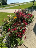 3581 Kehoe Road, Clinton, MI 49236