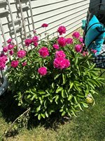 3581 Kehoe Road, Clinton, MI 49236