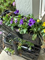 3581 Kehoe Road, Clinton, MI 49236