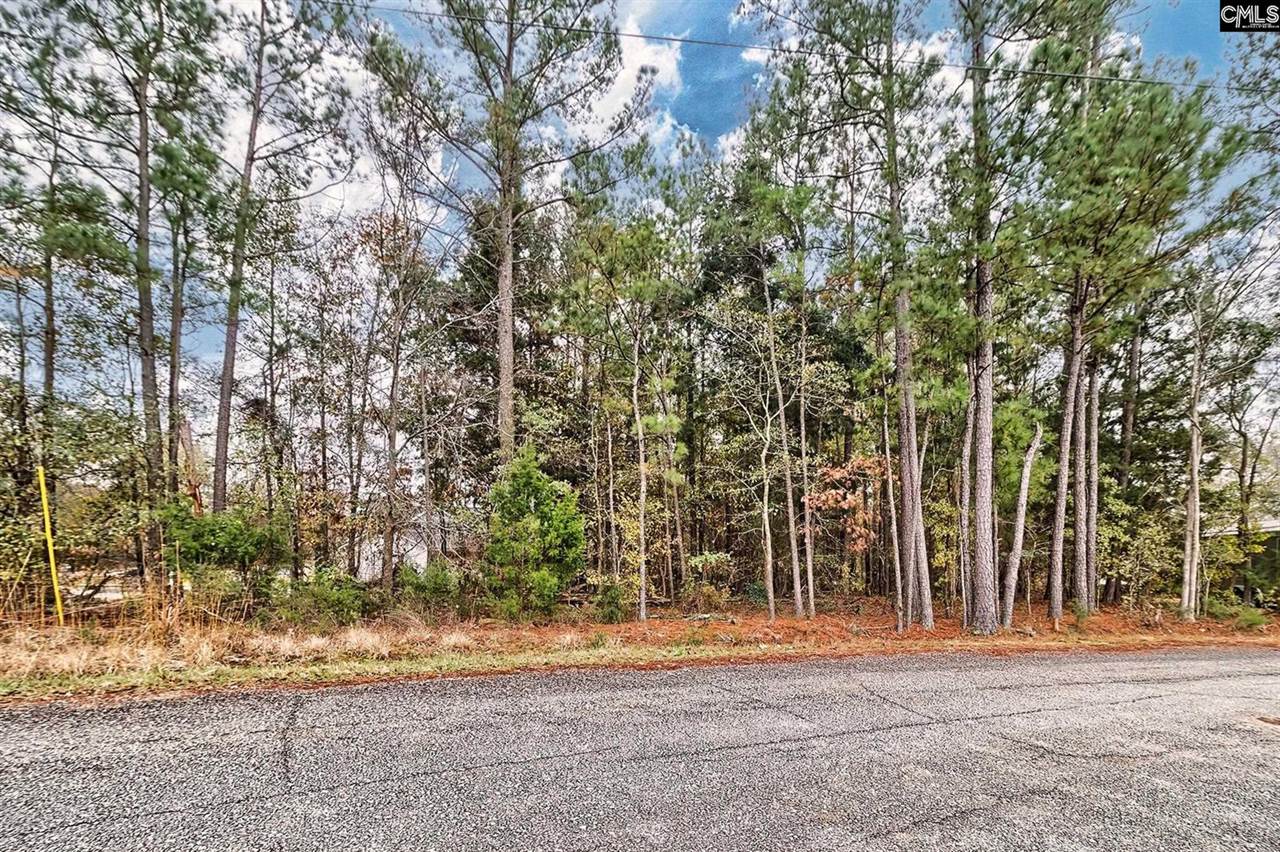 421 W Point, Gilbert, SC 29054