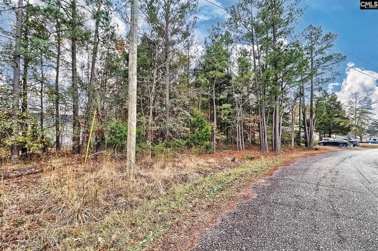 421 W Point, Gilbert, SC 29054