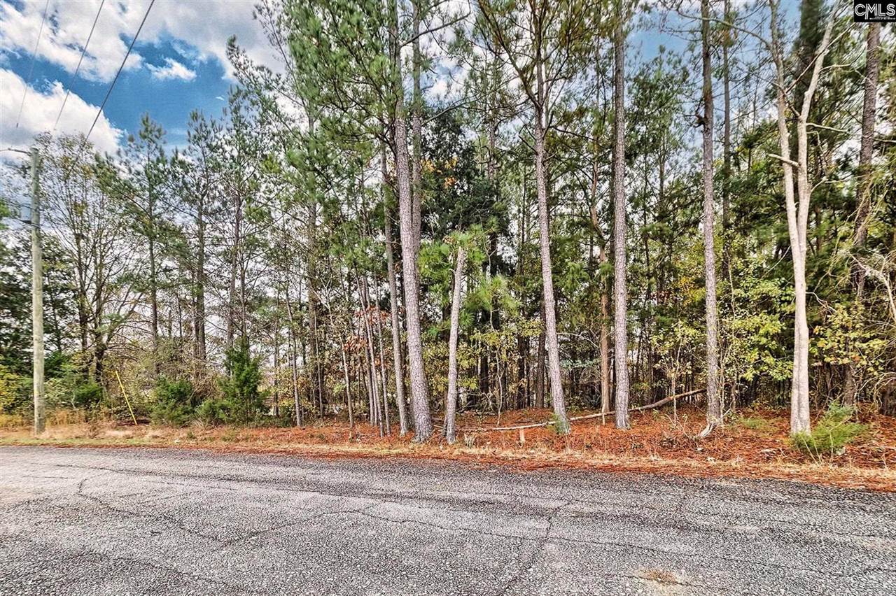 421 W Point, Gilbert, SC 29054