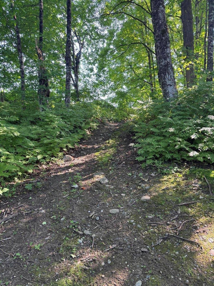 7 Pond Road, Abbot, ME 04406