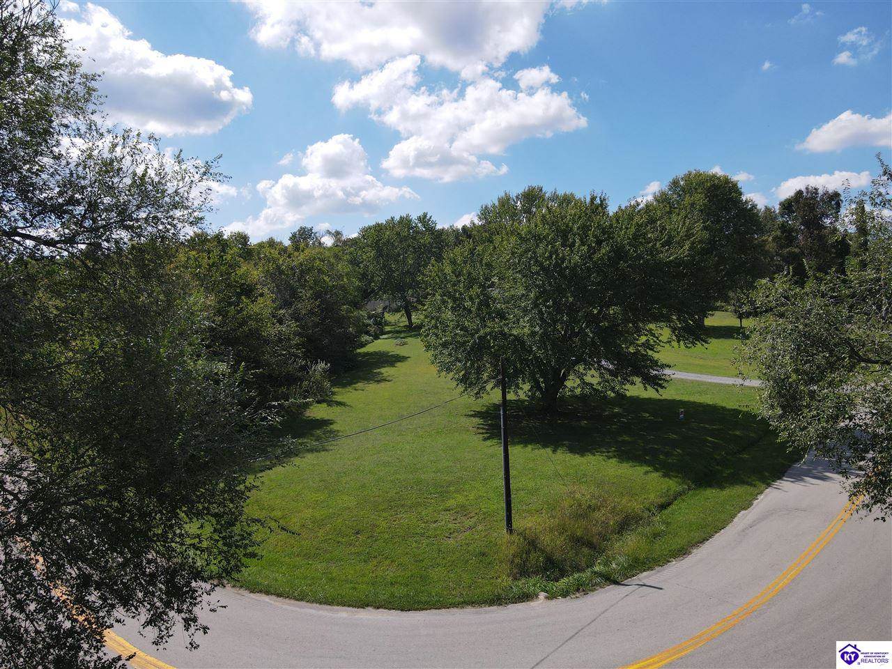 0 Blue Bird Road, Falls Of Rough, KY 40119