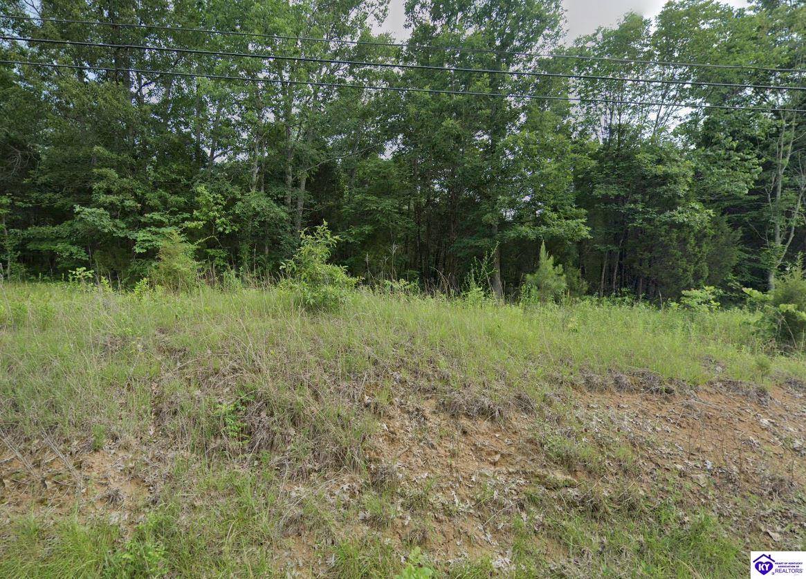 0 Blue Bird Road, Falls Of Rough, KY 40119