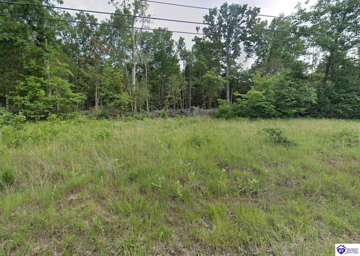 0 Blue Bird Road, Falls Of Rough, KY 40119