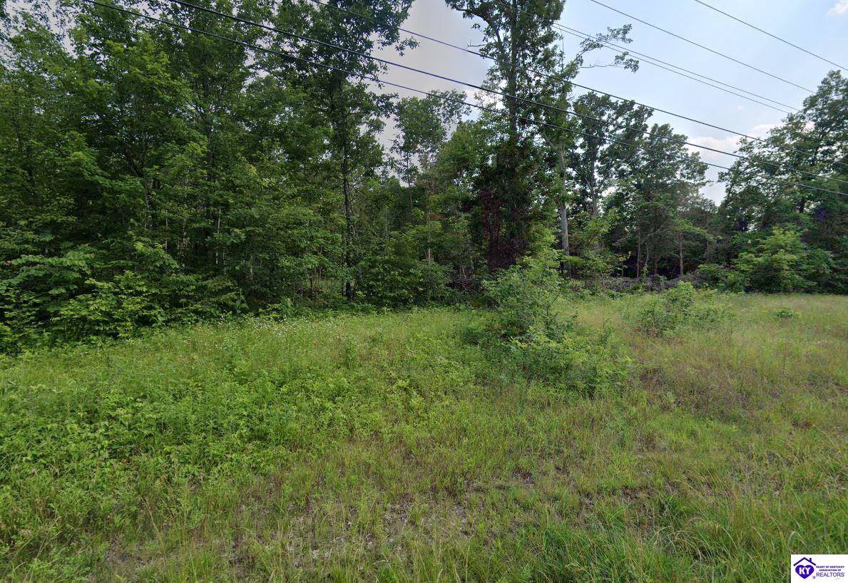 0 Blue Bird Road, Falls Of Rough, KY 40119