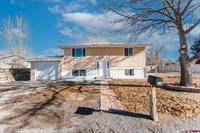 820 Jenson Drive, Delta, CO 81416