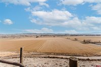 59078 Grandpas Trail, Olathe, CO 81425