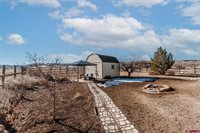 59078 Grandpas Trail, Olathe, CO 81425