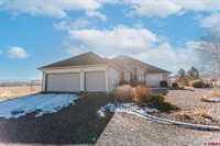 59078 Grandpas Trail, Olathe, CO 81425