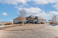 59078 Grandpas Trail, Olathe, CO 81425