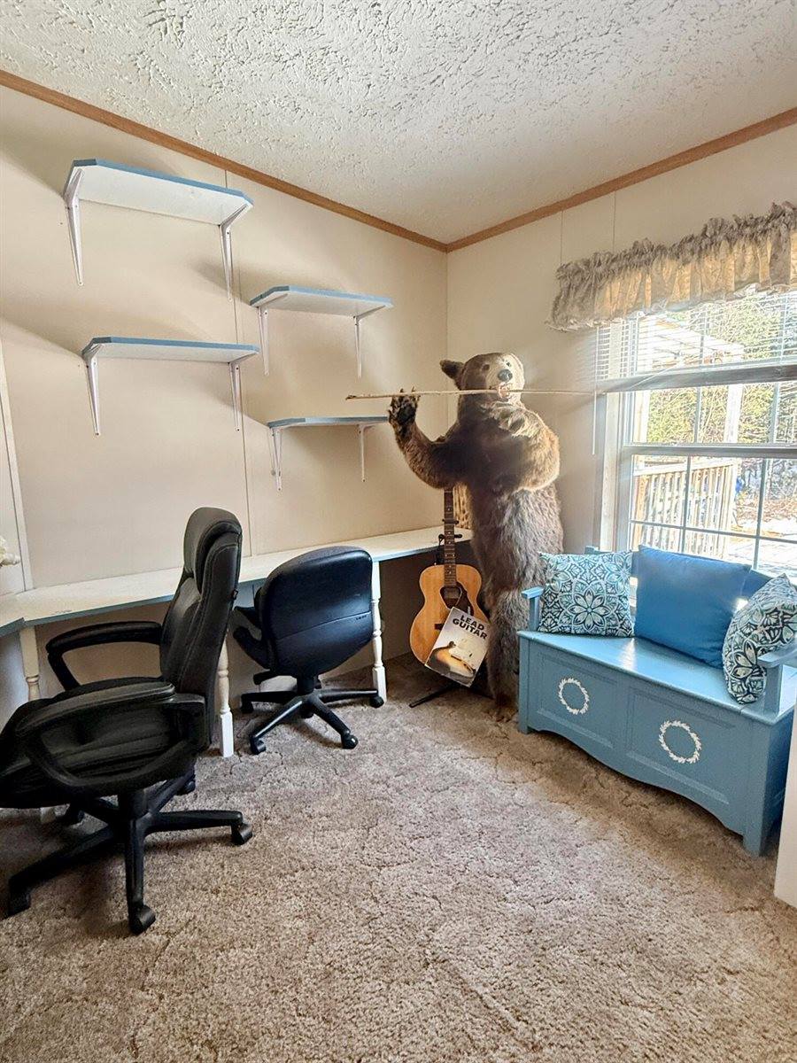 20 Jackson Lane, Milford, ME 04461