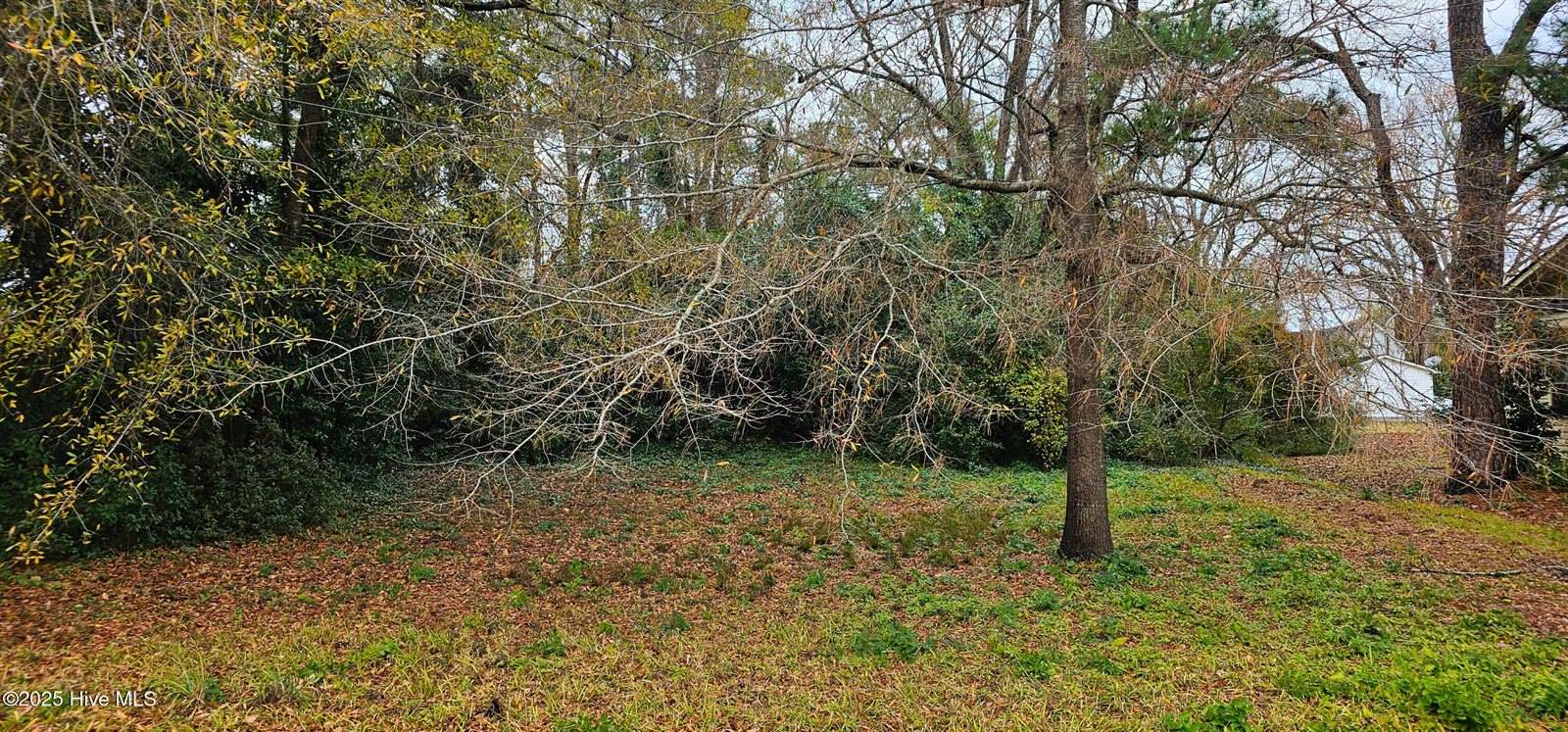 207 12 East South Street, Rose Hill, NC 28458