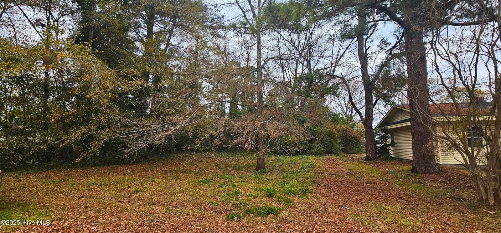 207 12 East South Street, Rose Hill, NC 28458