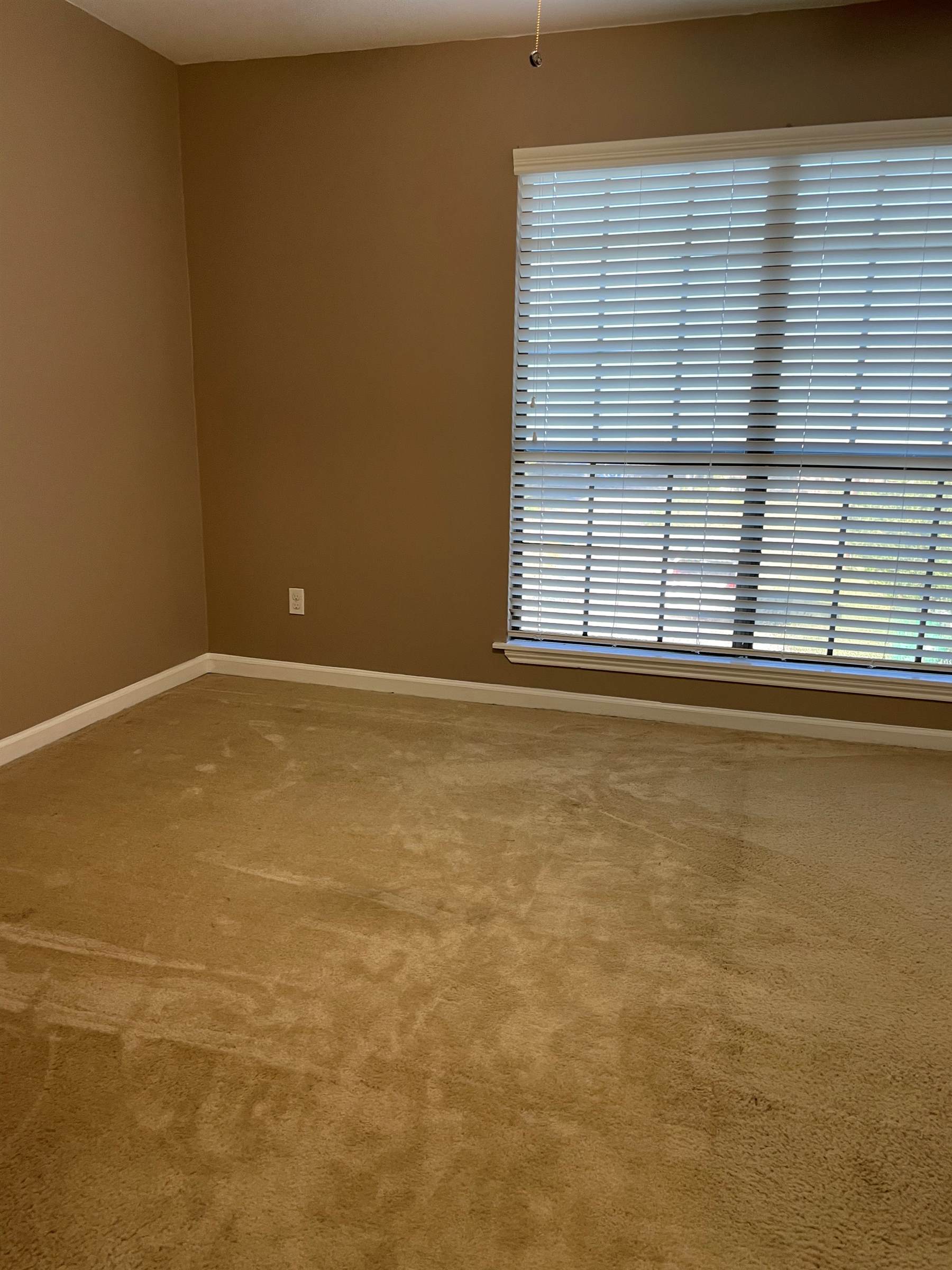 106 S Parkwood #1, Youngsville, LA 70593