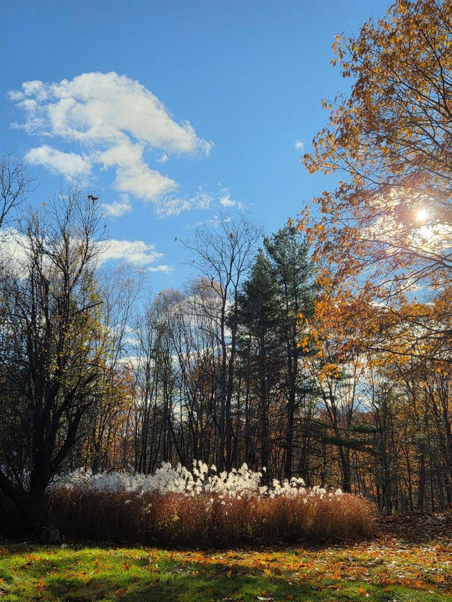 489 Back Road, Skowhegan, ME 04976