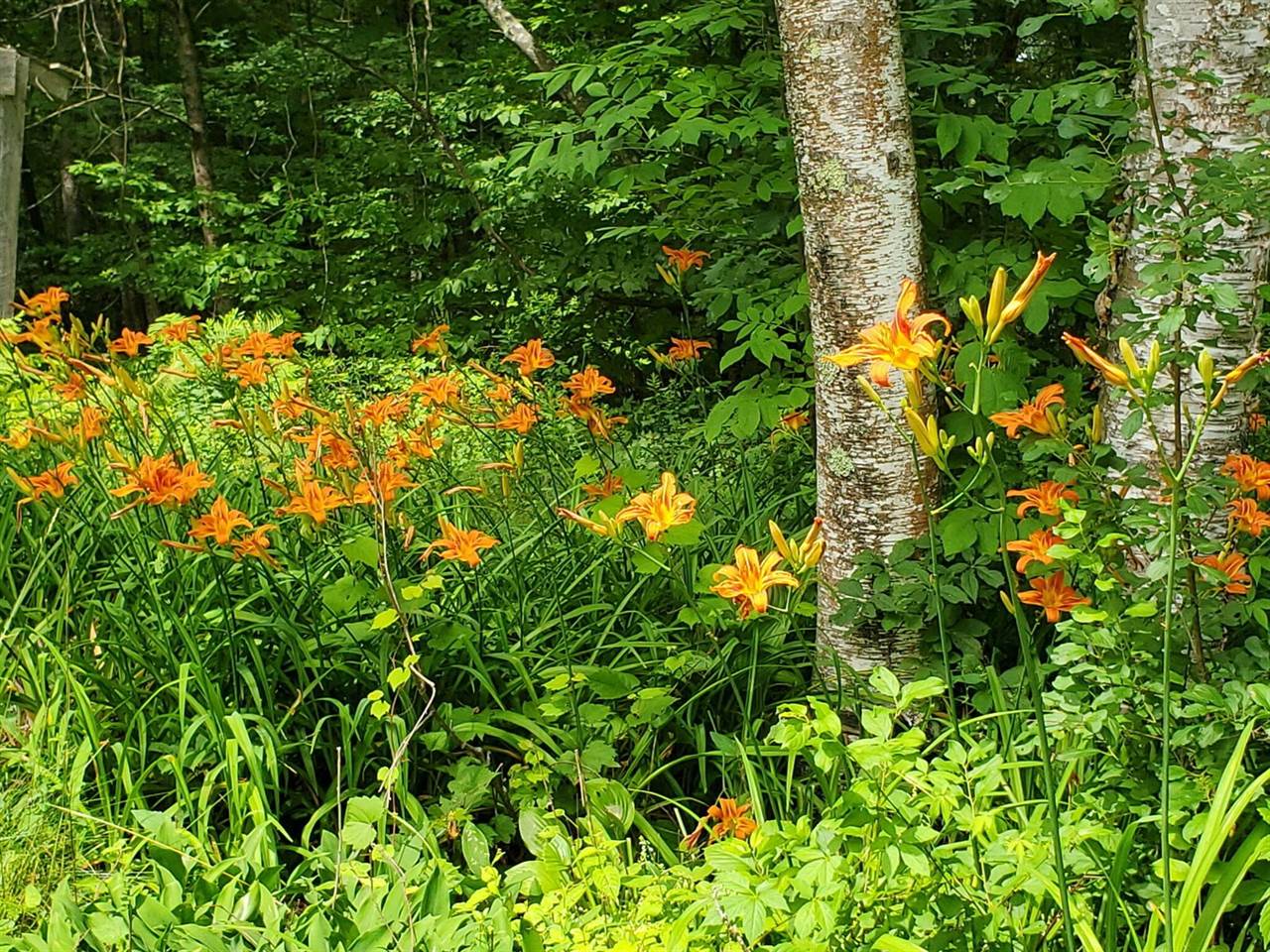 489 Back Road, Skowhegan, ME 04976