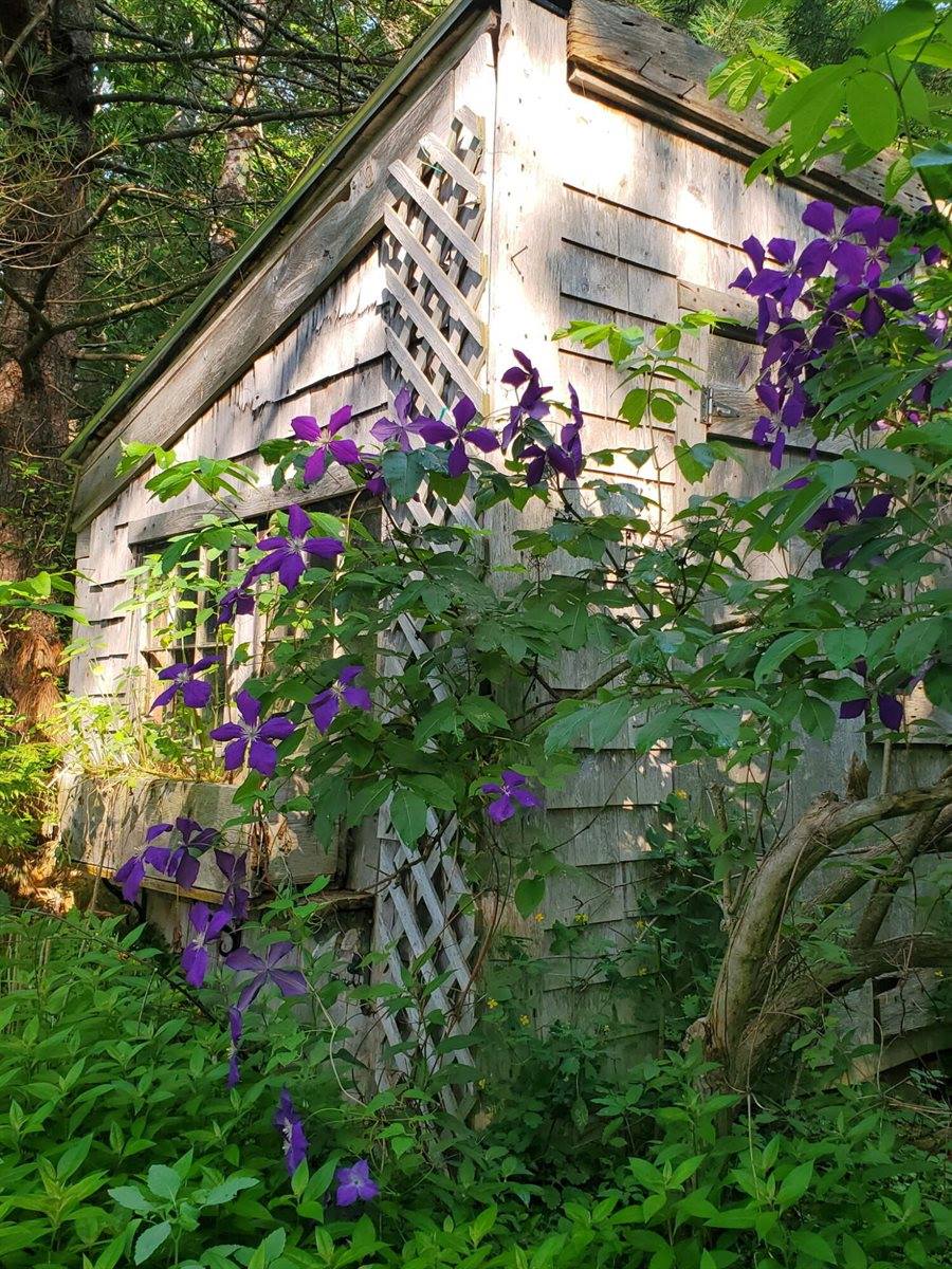 489 Back Road, Skowhegan, ME 04976