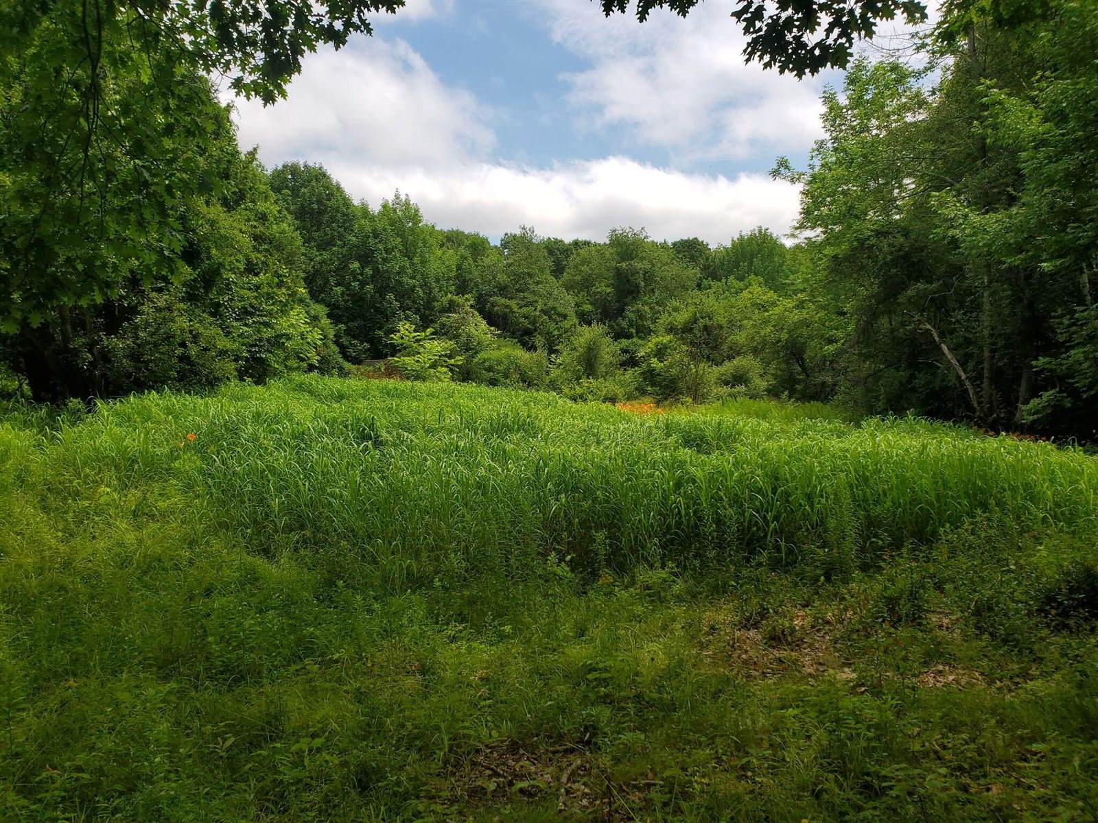 489 Back Road, Skowhegan, ME 04976