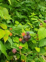 489 Back Road, Skowhegan, ME 04976