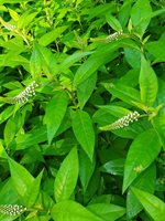 489 Back Road, Skowhegan, ME 04976