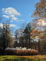 489 Back Road, Skowhegan, ME 04976