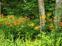 489 Back Road, Skowhegan, ME 04976