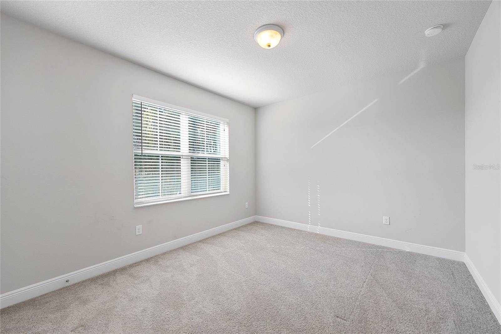 1308 Charleen Street, Brandon, FL 33511