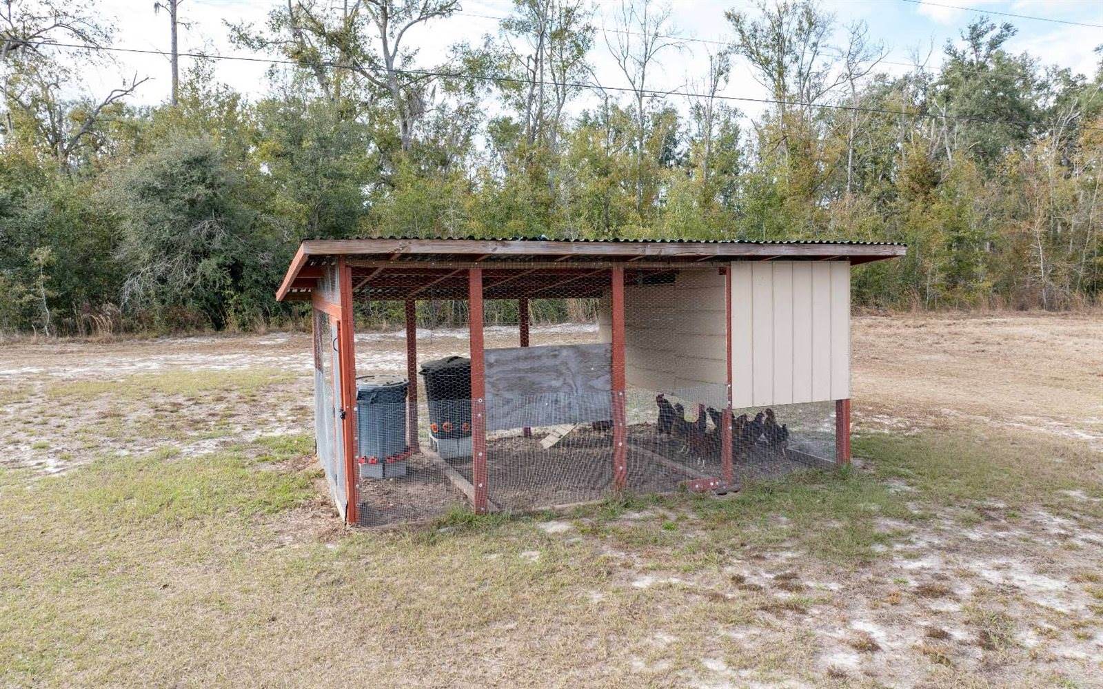 17197 44th Street, Live Oak, FL 32060