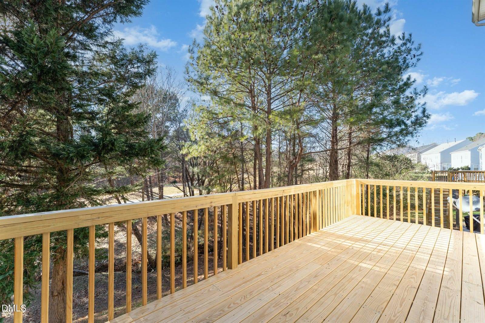 12347 Honeychurch Street, Raleigh, NC 27614