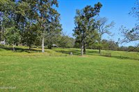 9948 Nyssa Drive, Neosho, MO 64850