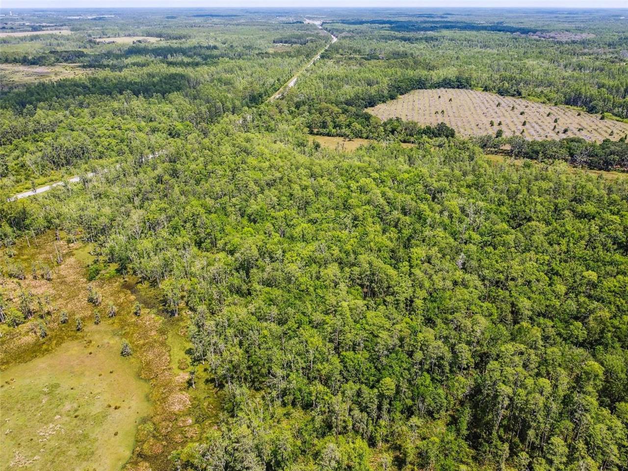 0 Hwy 557, Polk City, FL 33868