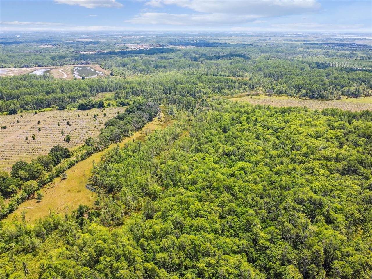 0 Hwy 557, Polk City, FL 33868