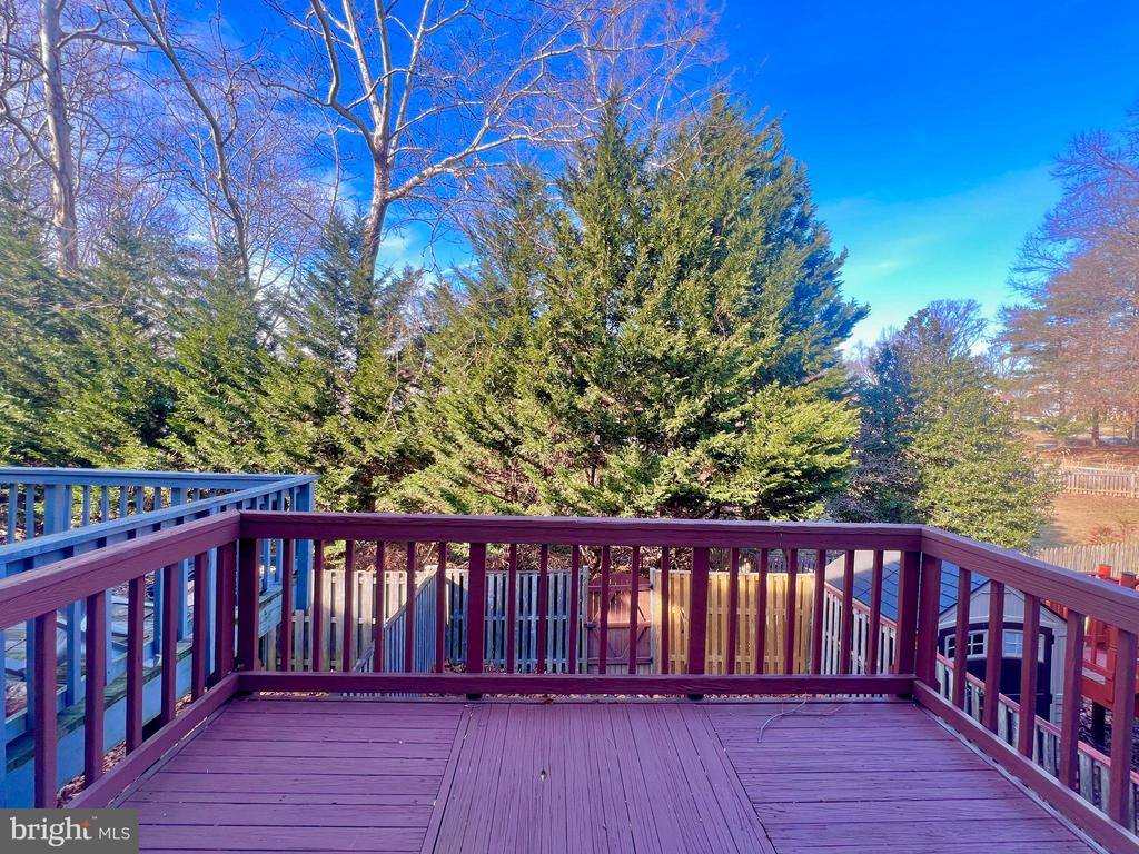 1707 Featherwood Street, Silver Spring, MD 20904