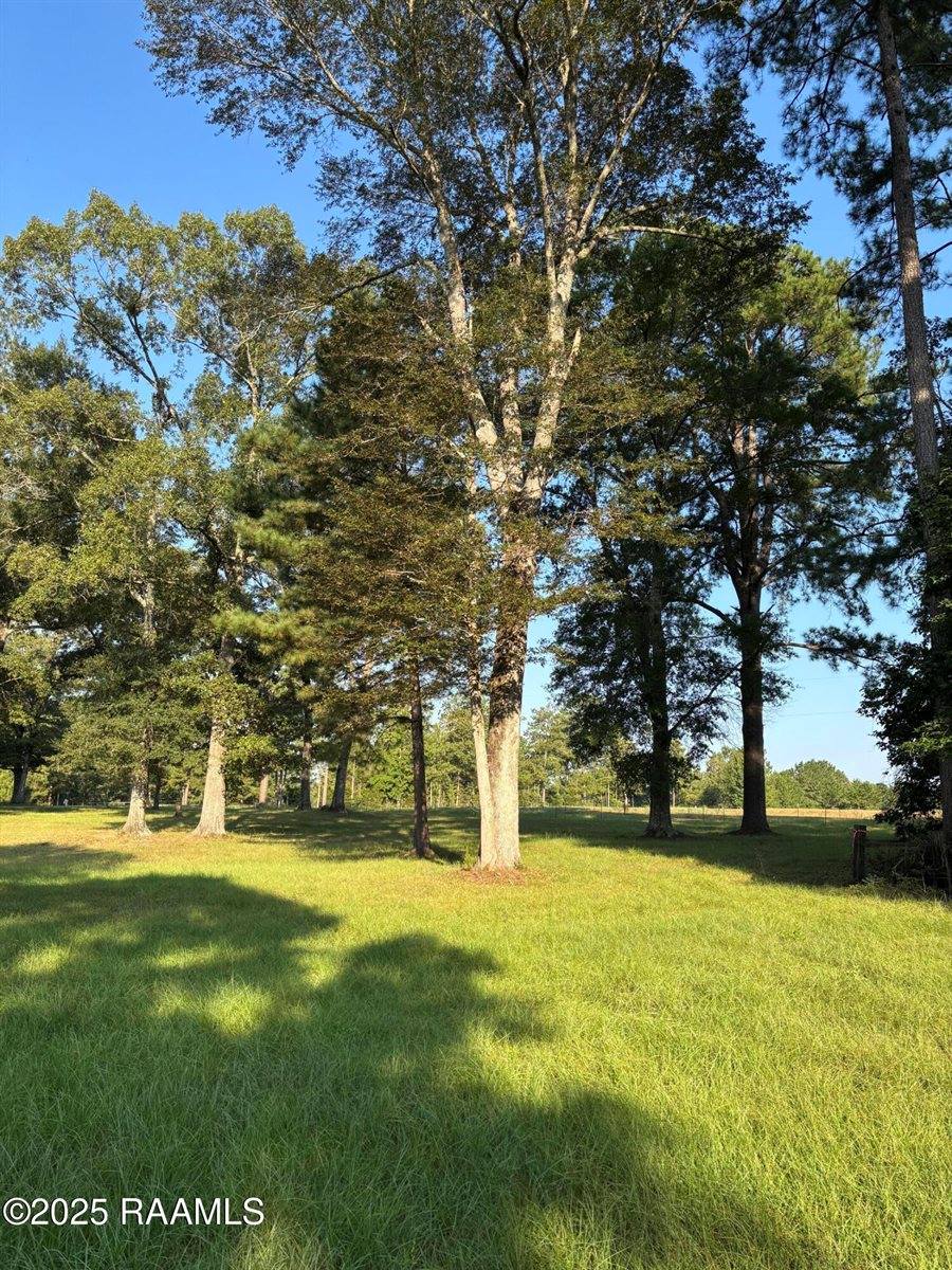 399 Athus Melder, Forest Hill, LA 71430