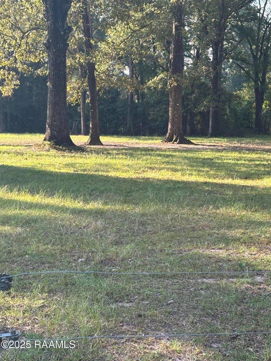 399 Athus Melder, Forest Hill, LA 71430