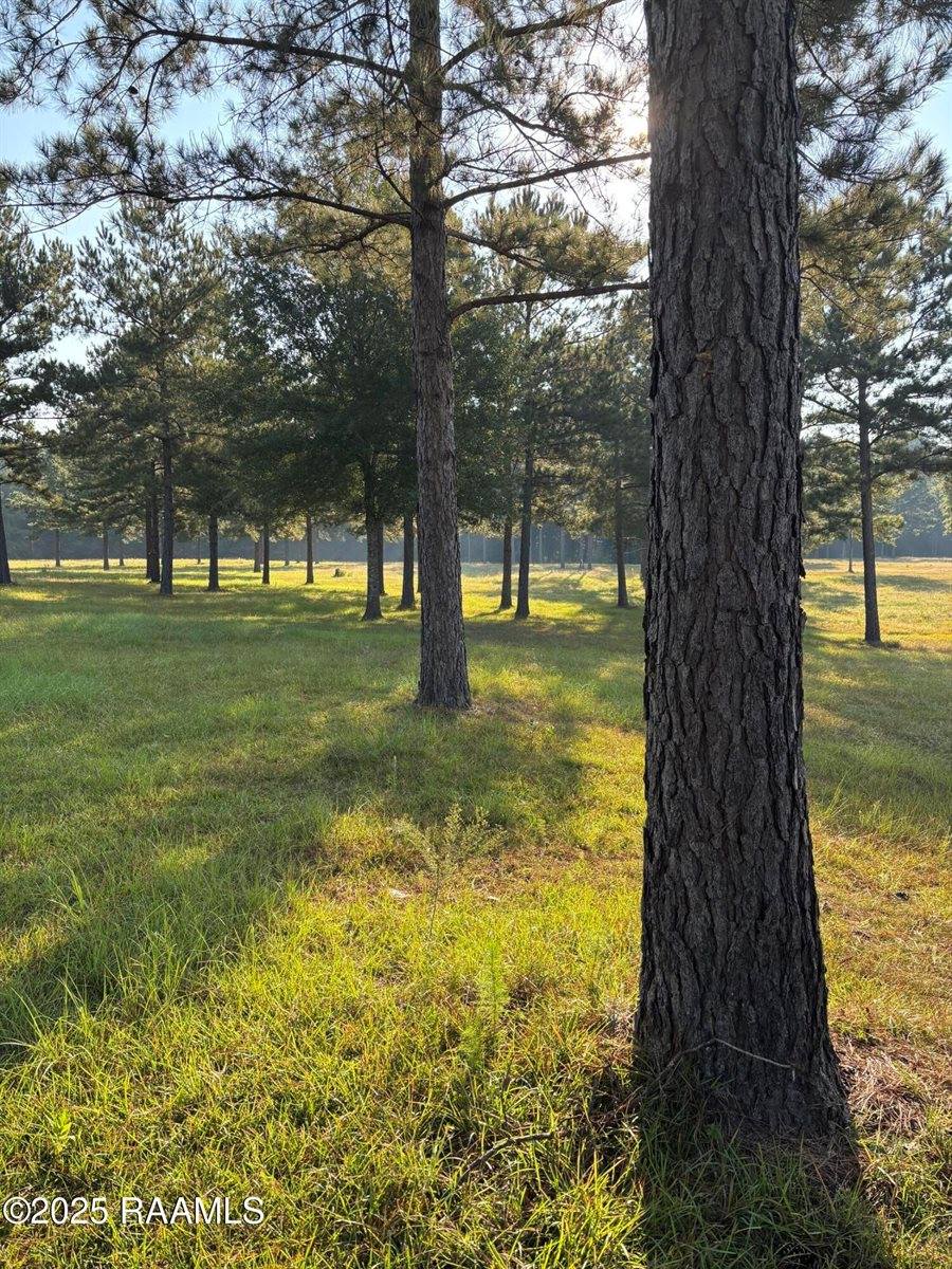 399 Athus Melder, Forest Hill, LA 71430